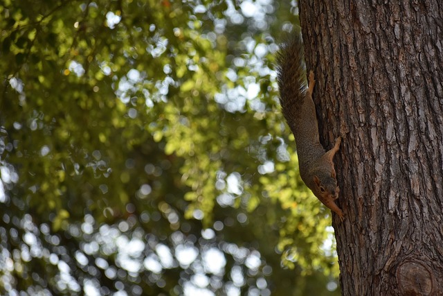 可能需要的 可能需要的