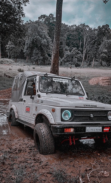 这样群星璀 这样群星璀